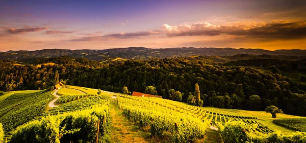 Berühmte herzförmige Straße bei Weinbergen in Slowenien nahe der Grenze zu Österreich-Südsteiermark. — Stockfoto