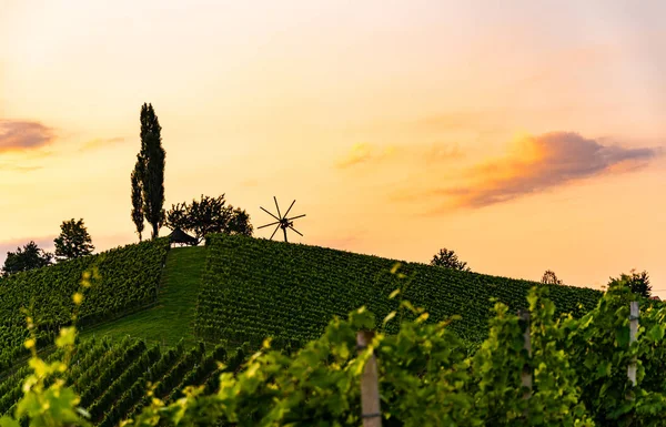 Regione vinicola Vigneti in Austria, Stiria meridionale. Tramonto paesaggistico. Collina dell'uva con mulino a vento — Foto Stock