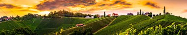 Güney Styria, Avusturya bağları tepeler Panoraması