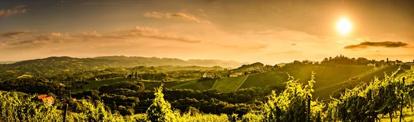 Panorama de viñedos colinas en el sur de Estiria, Austria — Foto de Stock