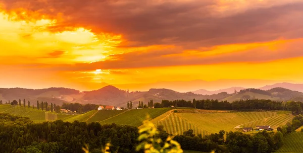 Panorama View at South Styria Campos vinícolas ao pôr-do-sol no verão. Eckberg Destino turístico . — Fotografia de Stock