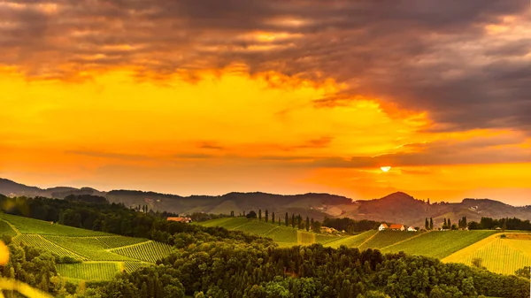 Blick auf südsteirische Weinfelder in der Sonnenuntergangssonne im Sommer. Touristenziel eckberg. — Stockfoto