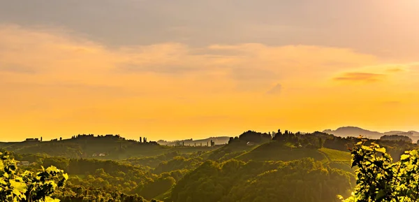 Panorama Vista al sur de Estiria Campos de viñedo en el sol del atardecer en verano. Eckberg Destino turístico . — Foto de Stock