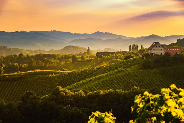 Vista dalla famosa strada del vino nella Stiria meridionale, Austria a toscana come colline di vigneti — Foto Stock