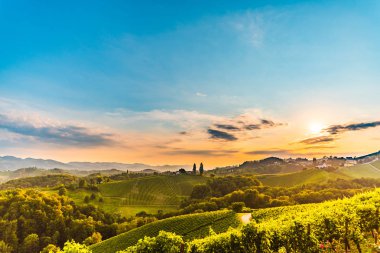 Güney Styria ünlü şarap Sokağı görünümü, Toskana Vineyard Hills gibi Avusturya