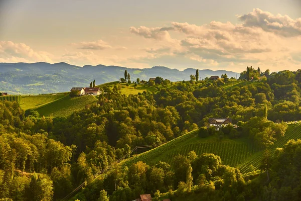 Colline d'uva e vista sulle montagne dalla strada del vino in Stiria, Austria (Sulztal Weinstrasse) in estate . — Foto Stock