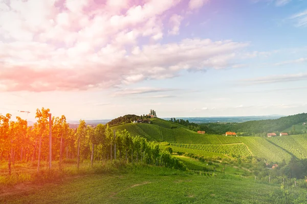 Colinas de uva y vistas a las montañas desde la calle del vino en Estiria, Austria (Sulztal Weinstrasse) en verano . —  Fotos de Stock