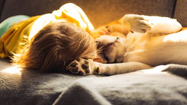 Sevimli bebek kız beagle köpek ile sarılmak. Yakın çekim, sığ Dof.