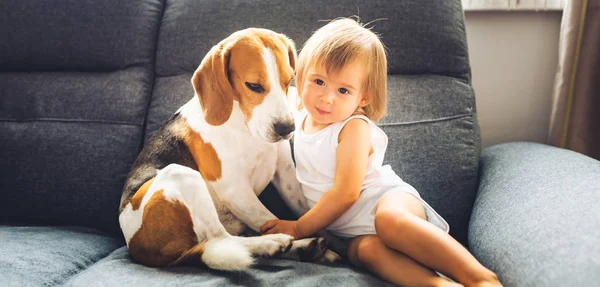 Söt bebis flicka gosa med Beagle hund. Närbild, grunda DOF. — Stockfoto