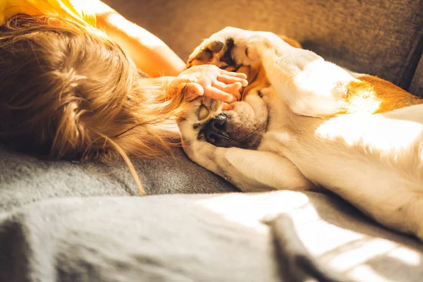 Bonito bebê menina abraçar com cão beagle. Fechar, DOF superficial . — Fotografia de Stock