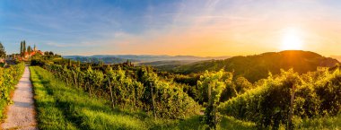 Kitzeck im Sausal arka planda bir kilise ile Avusturya kırsal üzerinde bağ Manzara panorama