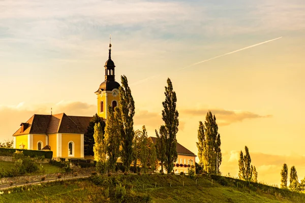 Podzimní Panorama vinice na rakouské krajině během západu slunce v Kitzeck im Saprou — Stock fotografie