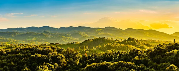 Blick vom Weinberg auf die grünen Hügel der südsteirischen Weinstraße in Österreich bei Sonnenuntergang. glanz an der weinstraße. — Stockfoto