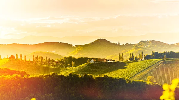 Τοπίο των αμπελώνων της Νότιας Στυρίας, κοντά στο Gamlitz, Αυστρία, Έκμπεργκ, Ευρώπη. Θέα στους λόφους σταφυλιού από το δρόμο του κρασιού την άνοιξη. Τουριστικός προορισμός, Πανόραμα — Φωτογραφία Αρχείου