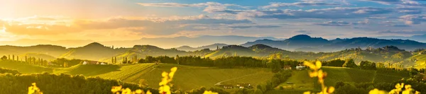 Südsteirische Weinbaulandschaft, bei Gamlitz, Österreich, eckberg, Europa. Blick von der Weinstraße auf die Weinberge im Frühling. Touristenziel, Aussicht — Stockfoto