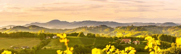 Paisagem de vinhas de styria sul, perto de Gamlitz, Áustria, Eckberg, Europa. Colinas de uva vista da estrada do vinho na primavera. Destino turístico, panorama — Fotografia de Stock
