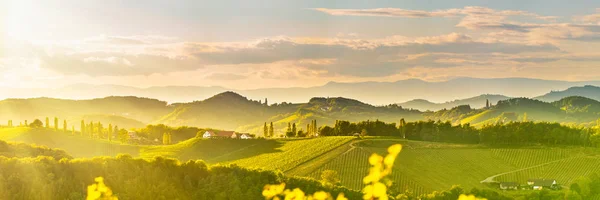 감리츠, 오스트리아, 에크베르크, 유럽 근처 사우스 스티리아 포도원 풍경. 봄에는 와인 로드에서 포도 언덕을 조망할 수 있습니다. 관광지, 파노라마 — 스톡 사진