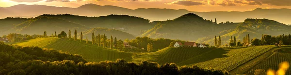 Südsteirische Weinbaulandschaft, bei Gamlitz, Österreich, eckberg, Europa. Blick von der Weinstraße auf die Weinberge im Frühling. Touristenziel, Aussicht — Stockfoto