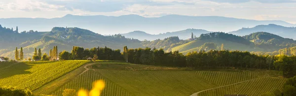 Sud Stiria vigneti paesaggio, vicino Gamlitz, Austria, Eckberg, Europa. Uva colline vista dalla strada del vino in primavera. Destinazione turistica, panorama — Foto Stock