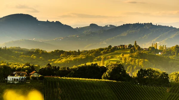 Sud Stiria vigneti paesaggio, vicino Gamlitz, Austria, Eckberg, Europa. Uva colline vista dalla strada del vino in primavera. Destinazione turistica, panorama — Foto Stock