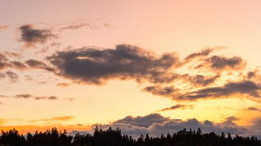 Pastel renkler gökyüzü ve renkli bulutlarla ormanın üzerinde gün batımı