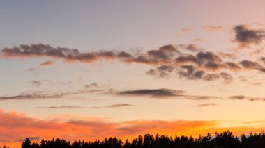 Pastel renkler gökyüzü ve renkli bulutlarla ormanın üzerinde gün batımı