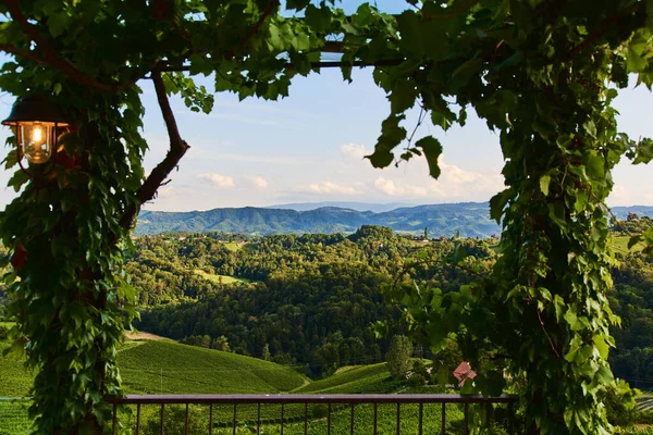 Vista dalla famosa strada del vino nella Stiria meridionale, Austria sulle colline toscane come vigneti. — Foto Stock