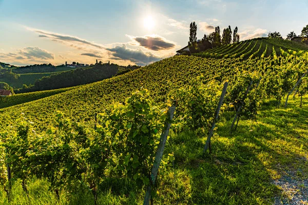 View from famous wine street in south styria, Austria on tuscany like vineyard hills. — Stock Photo, Image