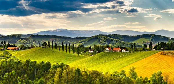 Panorama, Áustria, Estíria, país produtor de vinho, país produtor de vinho velho, Sul da Estíria — Fotografia de Stock