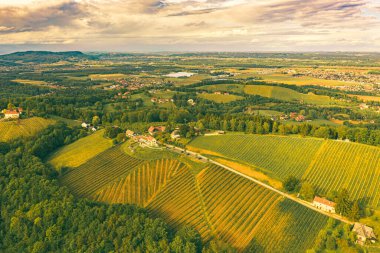 Bahar mevsiminde Avusturya üzüm bağları. Güney Styria 'da Leibnitz bölgesi, şarap bölgesi. Toskana gibi bir yer ve ünlü bir turistik yer.