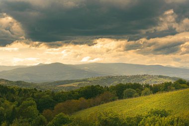 Bahar mevsiminde Avusturya üzüm bağları. Güney Styria 'da Leibnitz bölgesi, şarap bölgesi. Toskana gibi bir yer ve ünlü bir turistik yer.