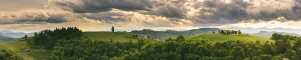 Panorama Colinas Vinhedos Sul Estíria Áustria Toscana Como Lugar Para — Fotografia de Stock