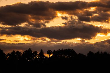 Dramatik gökyüzü ve renkli kara bulutlarla ormanın üzerinde gün batımı. gökyüzü arkaplanı