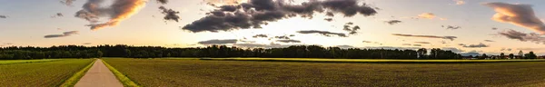 Panorama Sonnenuntergang Über Feldern Österreich Mit Dramatischem Sonnenuntergang Und Waldweg — Stockfoto