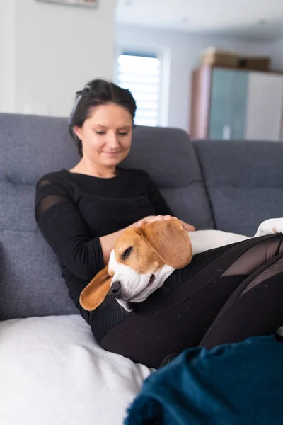 Junge Frau Sitzt Auf Sofa Und Streichelt Ihren Beagle Hund — Stockfoto