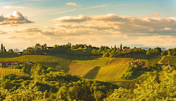 Sunset South Styria Vineyard Landscape Steiermark Austria Beautiful Tranquil Destination — Stock Photo, Image