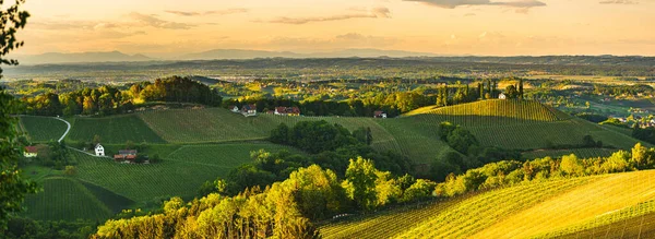 Pôr Sol Sobre Paisagem Vinícola Estíria Sul Steiermark Áustria Belo — Fotografia de Stock