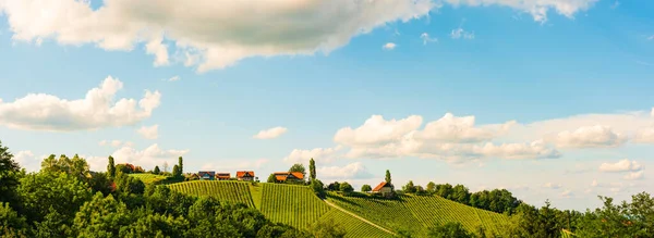 Weinbergpanorama Leibnitzer Gebiet Berühmtes Ziel Weinstraßengebiet Südsteiermark Der Grenze Slowenien — Stockfoto