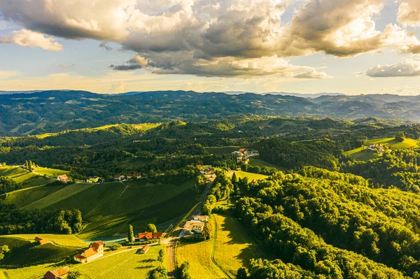 从空中俯瞰青山和背景群山的葡萄园 奥地利葡萄园景观 莱布尼茨地区在南施蒂里亚 葡萄酒国家 托斯卡纳喜欢的地方和著名的旅游胜地 — 图库照片