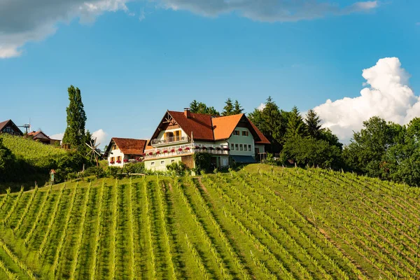 Beautiful Landscape Austrian Vineyards South Styria Famous Tuscany Place Visit — Stock Photo, Image