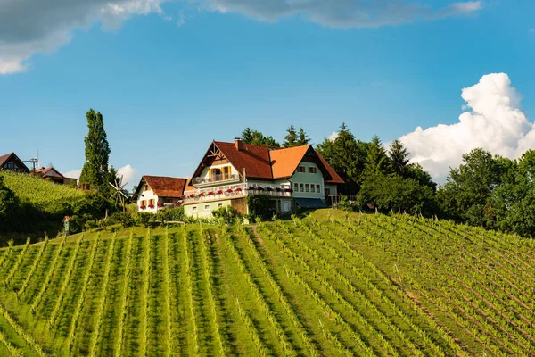 Hermoso Paisaje Viñedos Austriacos Sur Estiria Famosa Toscana Como Lugar — Foto de Stock