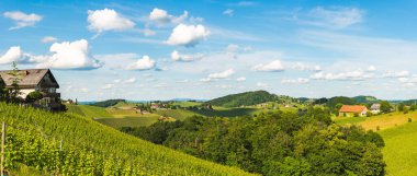 Üzüm bağları, Leibnitz bölgesi. Güney Styria 'nın ünlü şarap caddesi bölgesi. Slovenya sınırında. Yazın şarap diyarı. Turistik bir yer. Yeşil tepeler ve ekinler