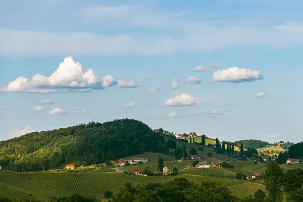 Beautiful landscape of Austrian vineyards in south Styria. Famous Tuscany like place to visit. — Stock Photo, Image