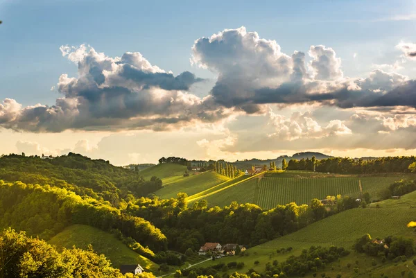 Vackert landskap med österrikiska vingårdar i södra Steiermark. Berömda Toscana som plats att besöka. — Stockfoto