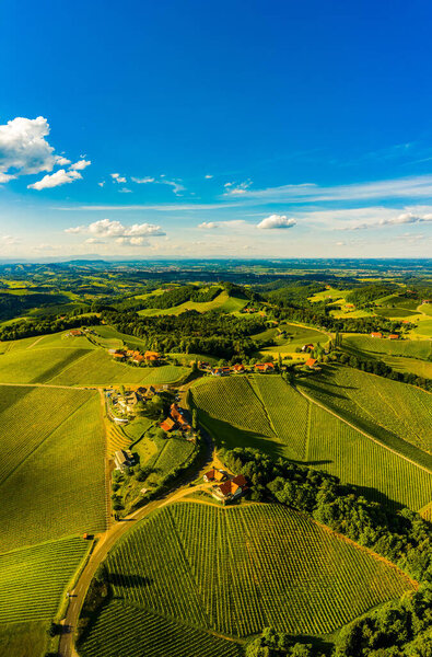 South styria vineyards aerial panorama landscape. Grape hills view from wine street in summer.