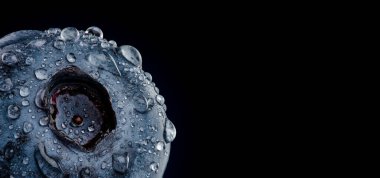 Siyah arka planda izole edilmiş su damlalarıyla kaplı bir yabanmersini. Sağ tarafta kopyalama alanı olan çok detaylı makro çekim.