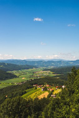 Avusturya kırsalındaki üzüm bağı. Kitzeck im Sausal 'ın stil yapısı.