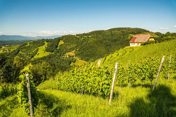 Winnica Austriackiej Wsi Krajobraz Stylowej Przyrody Kitzeck Sausal — Zdjęcie stockowe