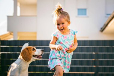 Küçük kız yaz günü arka bahçede av köpeğiyle koşuyor. Çocuk konsepti olan evcil bir hayvan. Köpek kovalayan 2-3 yaşında, tedavi peşinde koşan.