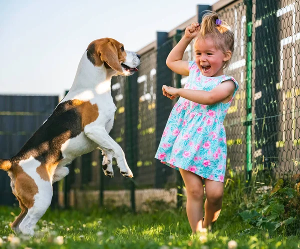 Маленькая Девочка Бегает Собакой Заднем Дворе Летний День Домашнее Животное — стоковое фото
